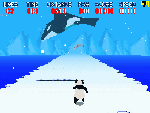 Antartic Adventure